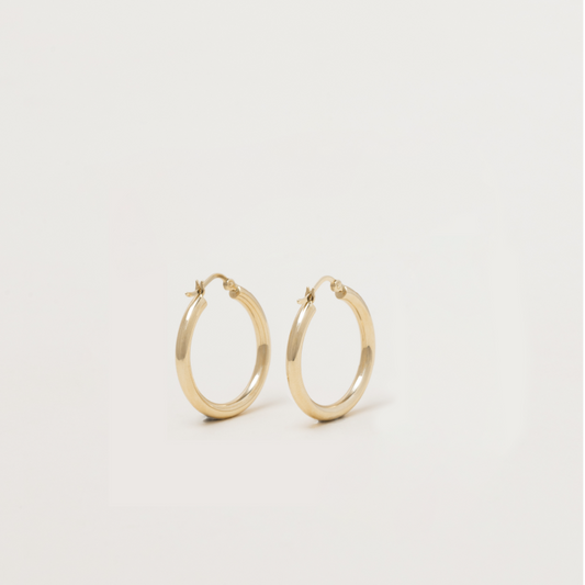 Classic Bold Hoop Earrings - Small (Pair)