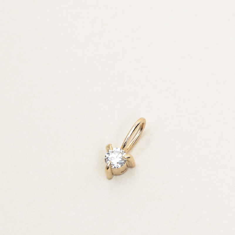 Diamond Claw Charm